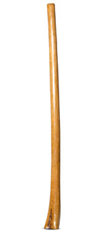 Gloss Finish Didgeridoo (TW1150)